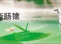 断肠猿