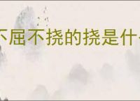 不屈不挠的挠是什么意思