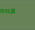 剩菜残羹
