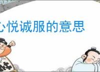 心悦诚服的意思