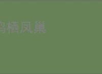 鸡栖凤巢