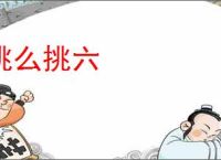 挑么挑六