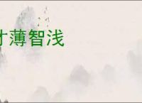 才薄智浅