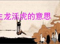 生龙活虎的意思