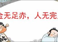 金无足赤，人无完人