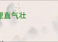 理直气壮