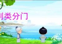 别类分门