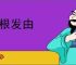 起根发由