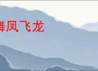 舞凤飞龙