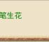 彩笔生花