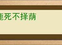 鹿死不择荫