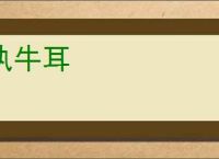 执牛耳