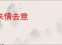 来情去意
