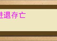 进退存亡