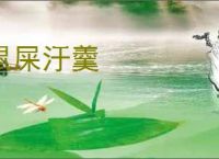 鼠屎汙羹