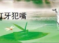 打牙犯嘴