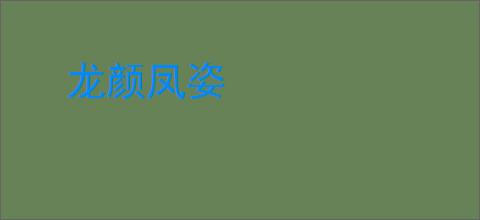 龙颜凤姿