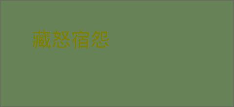 藏怒宿怨