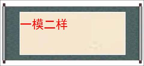 一模二样