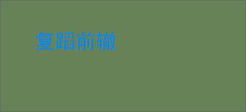 复蹈前辙