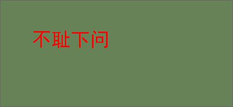 不耻下问