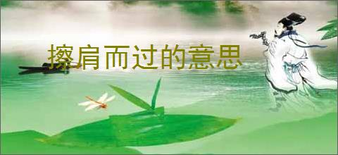 擦肩而过的意思