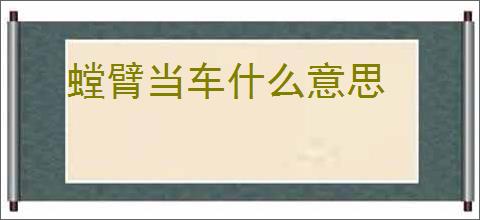 螳臂当车什么意思
