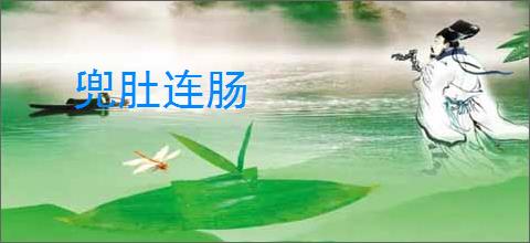 兜肚连肠