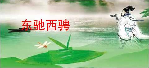 东驰西骋