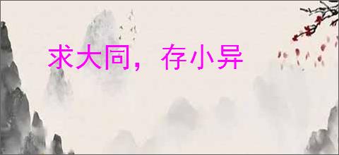 求大同，存小异