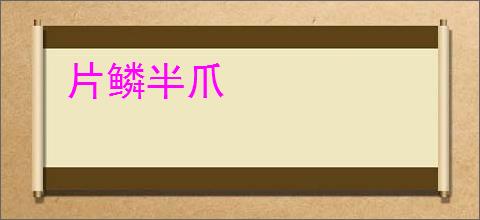 片鳞半爪