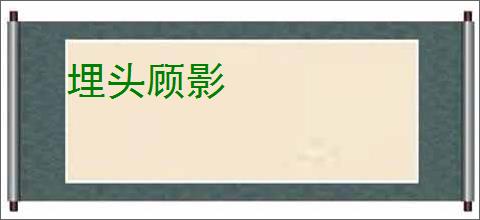 埋头顾影