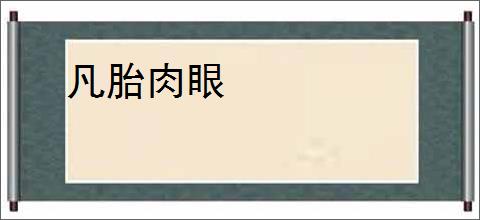 凡胎肉眼