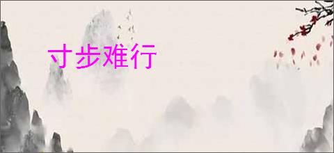 寸步难行
