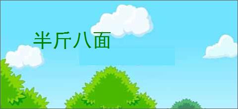 半斤八面