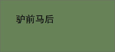 驴前马后
