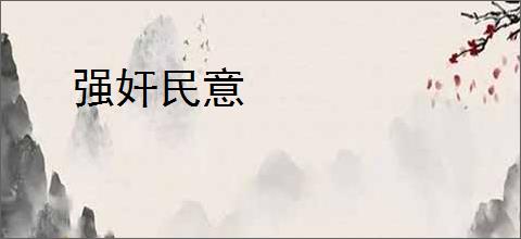 强奸民意