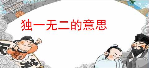 独一无二的意思