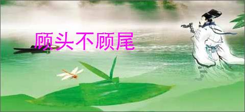 顾头不顾尾