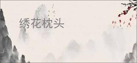 绣花枕头