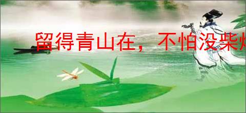 留得青山在，不怕没柴烧