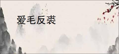 爱毛反裘