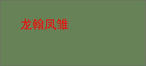 龙翰凤雏