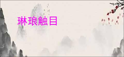 琳琅触目