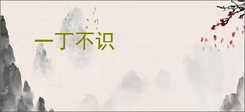 一丁不识