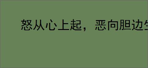 怒从心上起，恶向胆边生