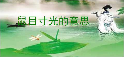 鼠目寸光的意思