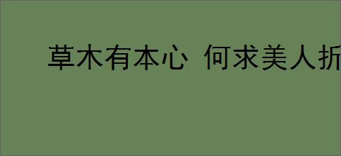 草木有本心 何求美人折