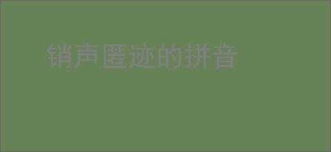 销声匿迹的拼音