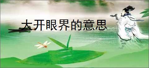 大开眼界的意思